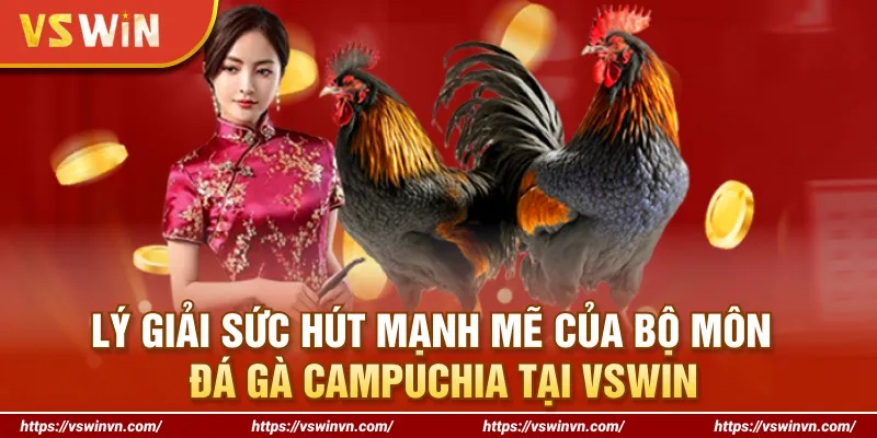 Lý giải sức hút mạnh mẽ của bộ môn đá gà Campuchia tại VSWIN