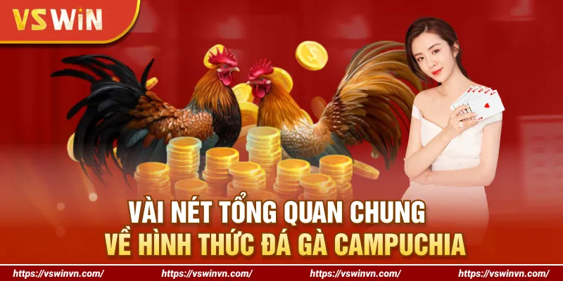 Vài nét tổng quan chung về hình thức đá gà Campuchia